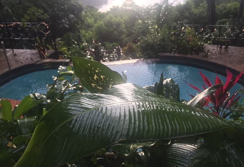 هتل Mango Moon Villa