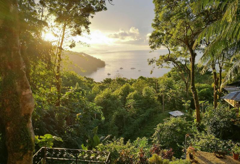 هتل Mango Moon Villa