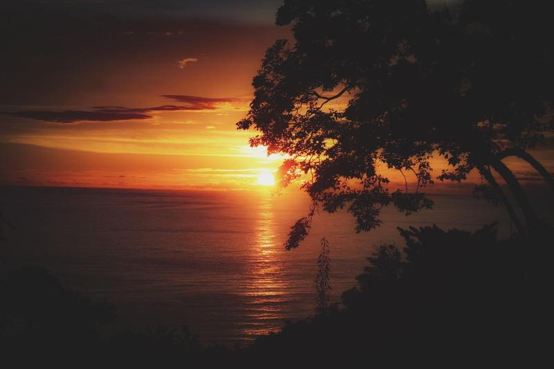 هتل Mango Moon Villa