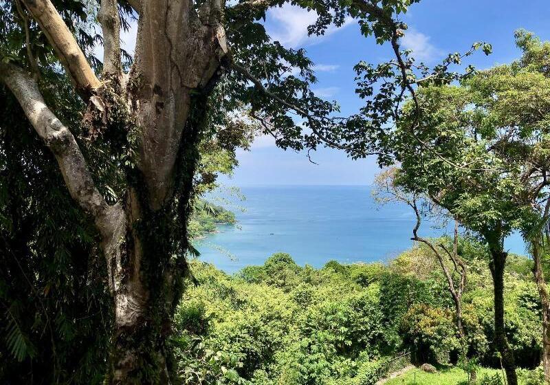 هتل Mango Moon Villa