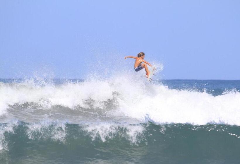 هتل Moana Surf Resort