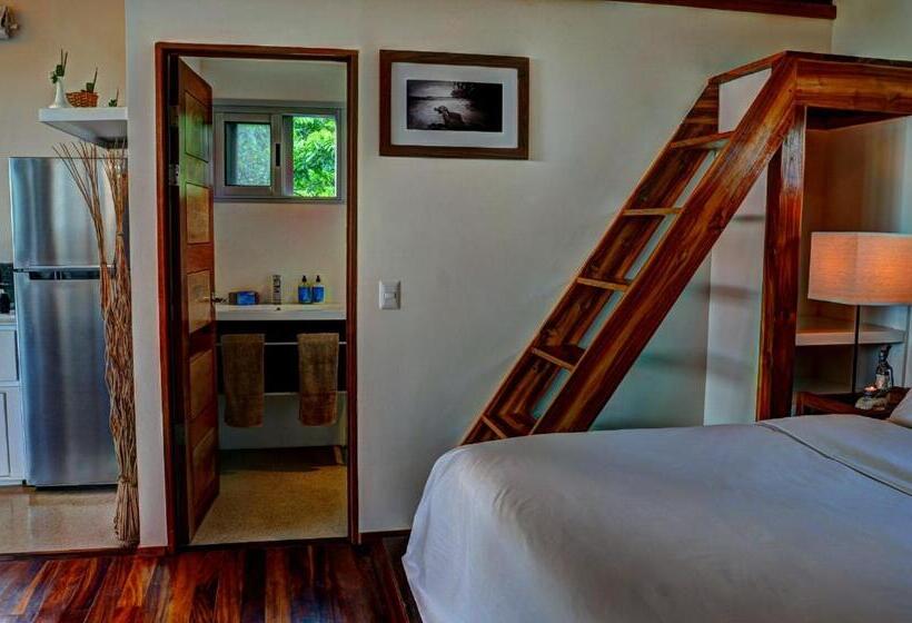 هتل Moana Surf Resort