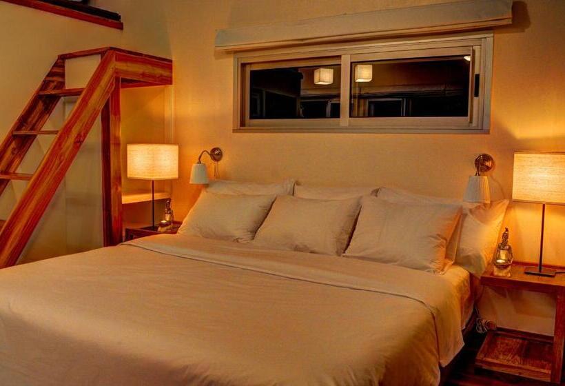 هتل Moana Surf Resort