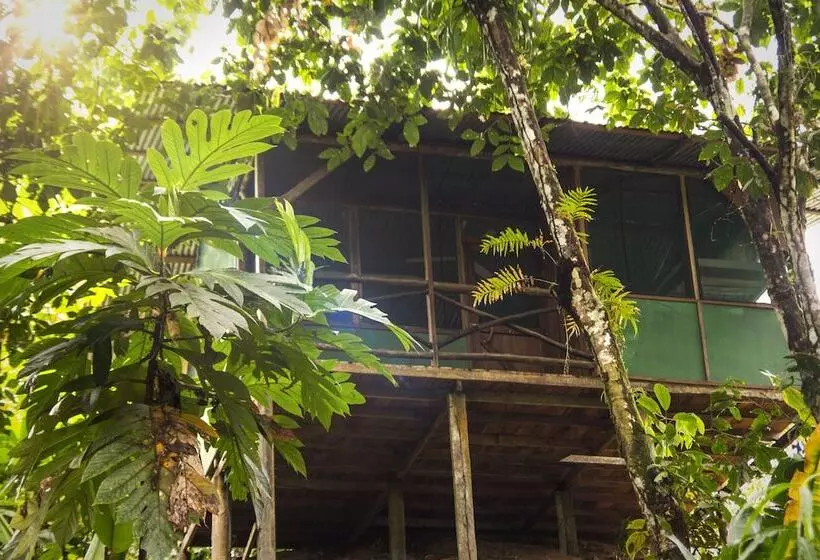 ホテル Naguala   Hostel