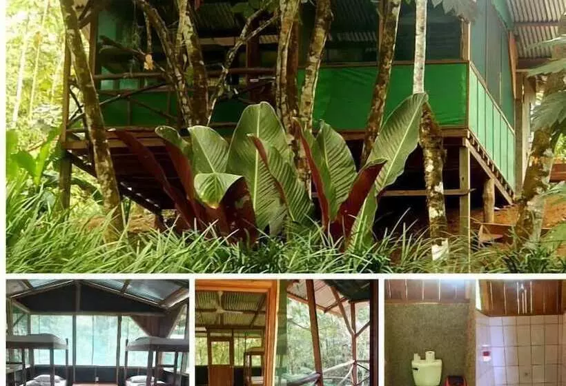 ホテル Naguala   Hostel