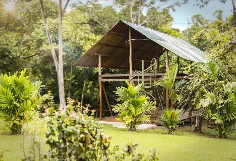 ホテル Naguala   Hostel