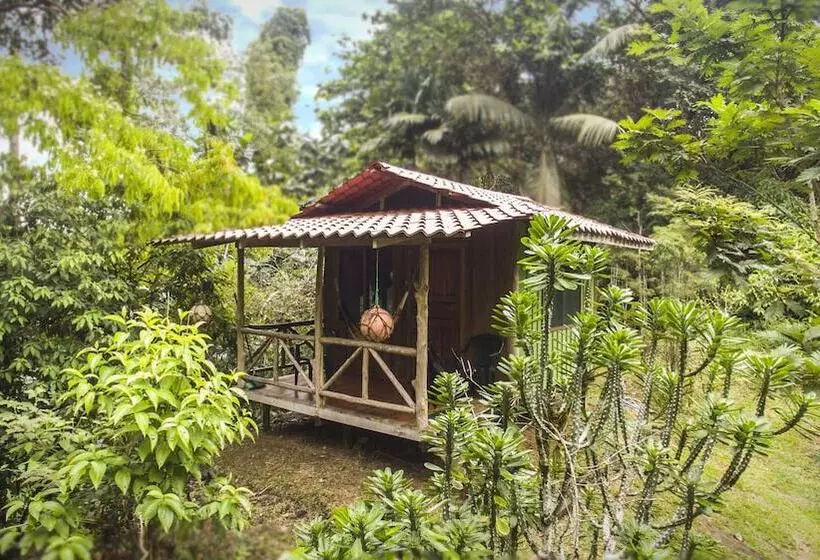 ホテル Naguala   Hostel