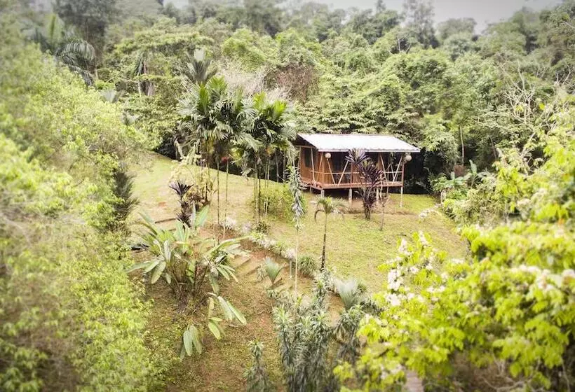 ホテル Naguala   Hostel