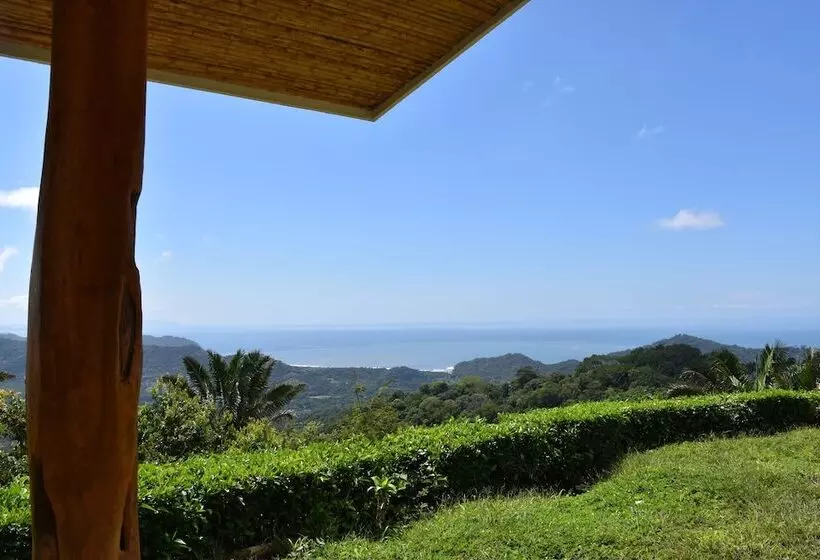 Hotelli Peace & Lodge