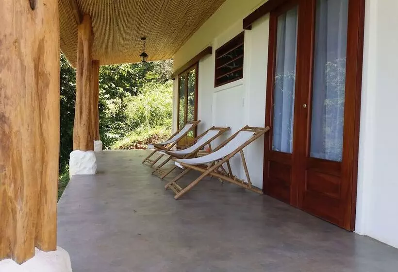 Hotelli Peace & Lodge