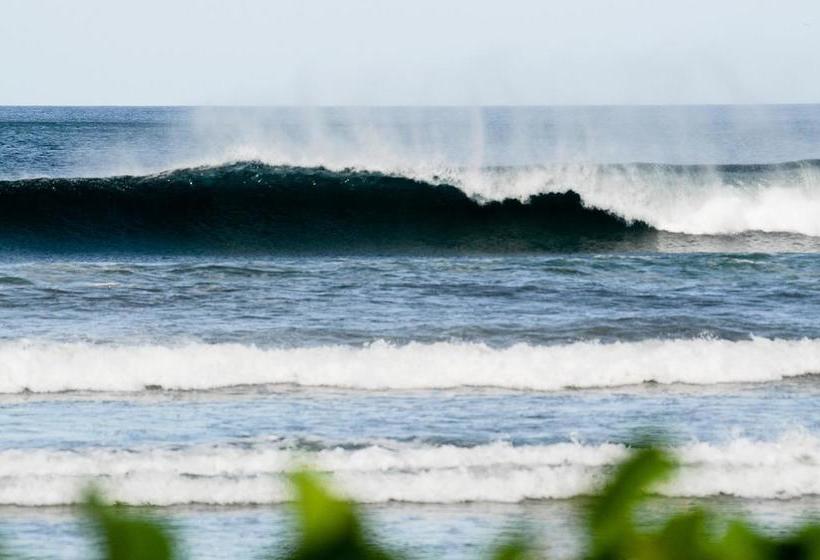 فندق Nosara Sunrise Bed And Breakfast