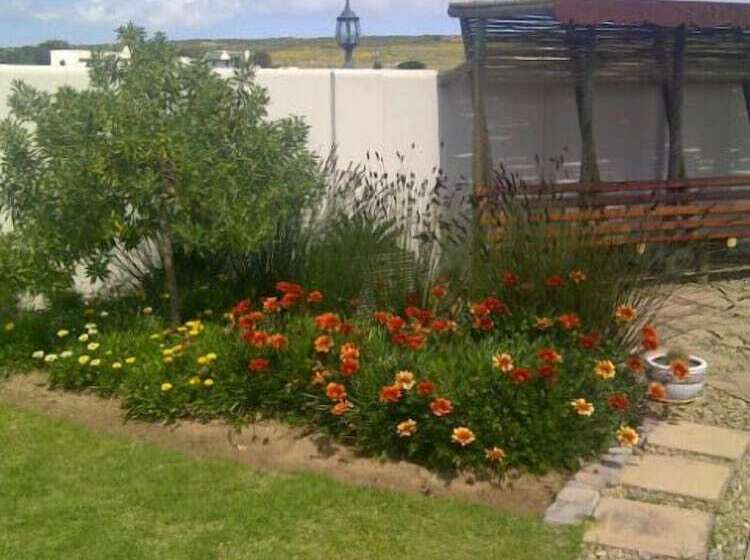 בית מלון כפרי The Wacky Bush Lodge