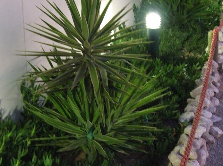 בית מלון כפרי The Wacky Bush Lodge