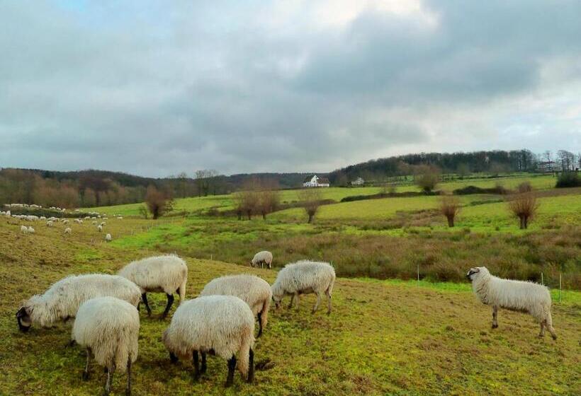 فندق Villa Witte Lelie