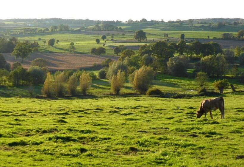 فندق Villa Witte Lelie