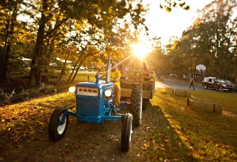 فندق Williamsburg Campground