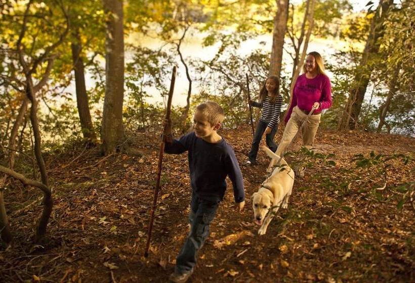 فندق Williamsburg Campground