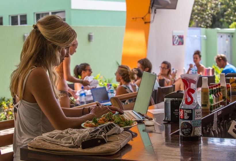 Room2board Hostel And Surf School