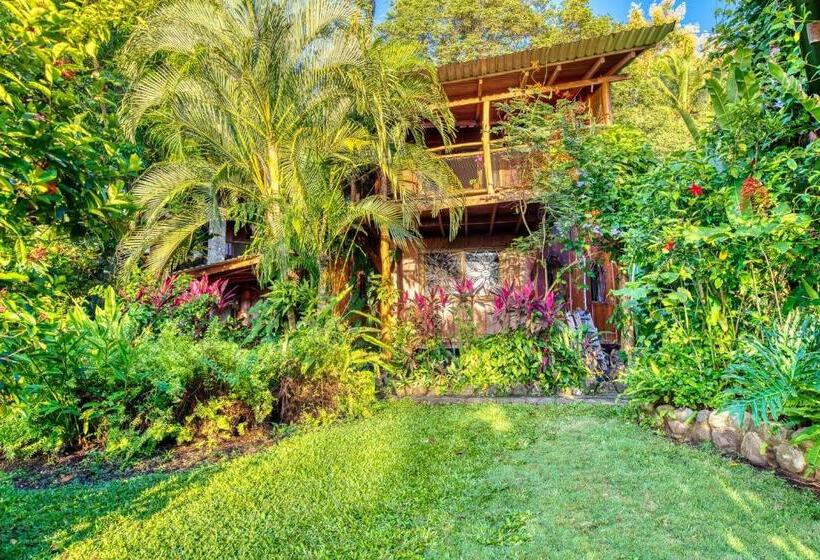 Отель Amor De Mar