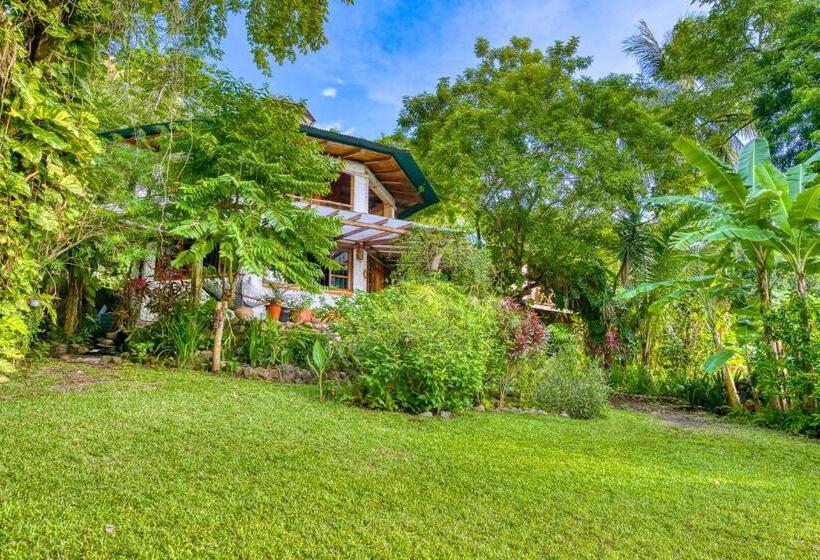 Отель Amor De Mar