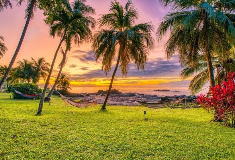 Отель Amor De Mar