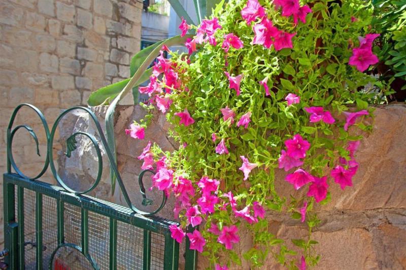 Hotel Apartment Margarita