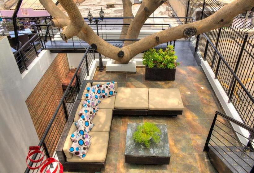 هتل Casa De Leda, A Kali