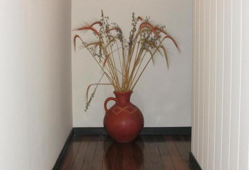 酒店 Casa Leon Guesthouse