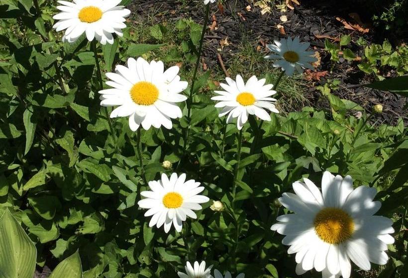 فندق Elliott House Bed & Breakfast