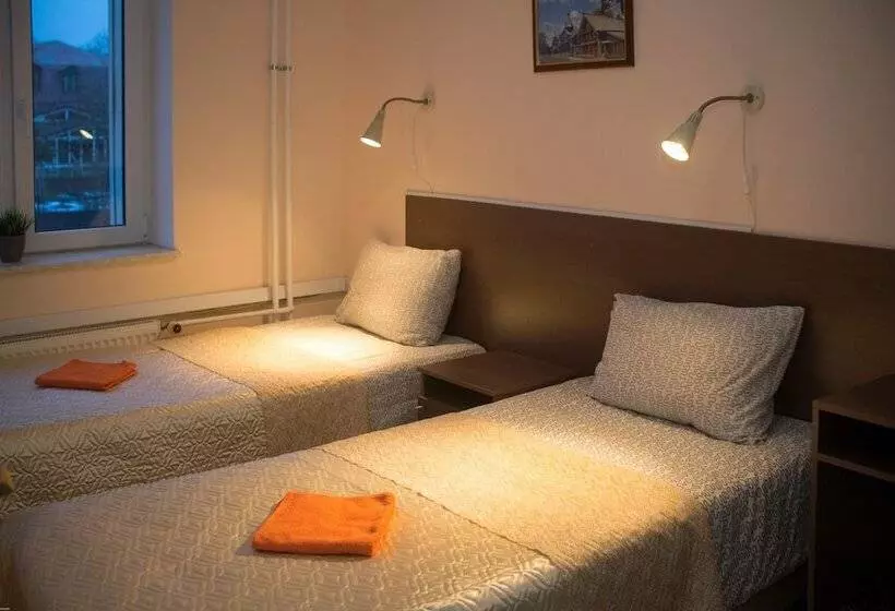 ホテル Guest House Orlovskiy