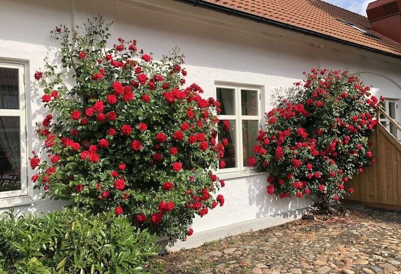 Отель Kastanjelund