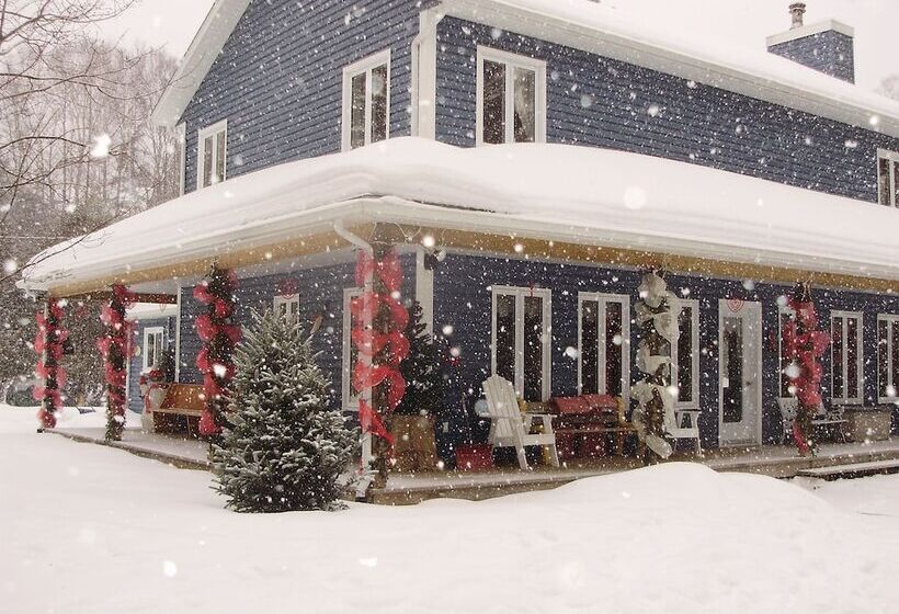 هتل La Petite Douceur