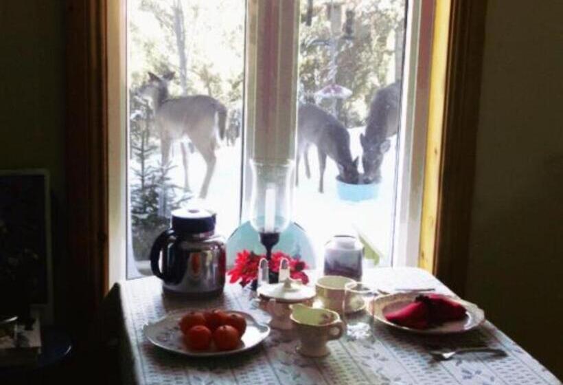 هتل La Petite Douceur