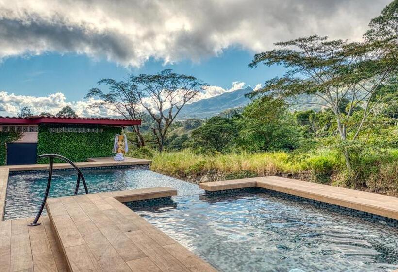 Hotel The Inn At Palo Alto