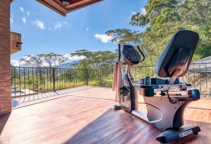 Hotel The Inn At Palo Alto