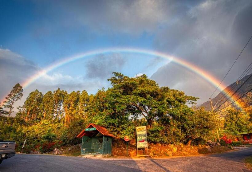 Hotel The Inn At Palo Alto