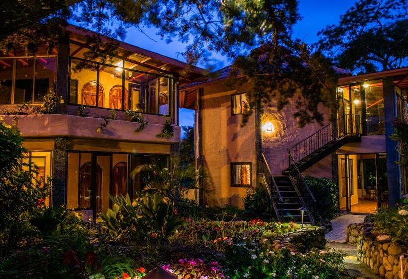 Hotel The Inn At Palo Alto