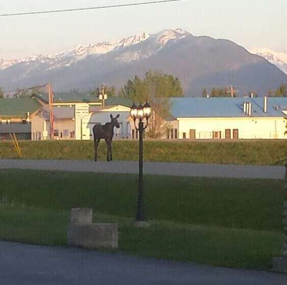 Hotel Travelodge By Wyndham Mcbride