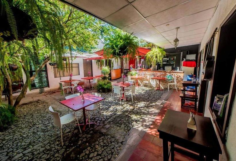 هتل Y Arte Antigua