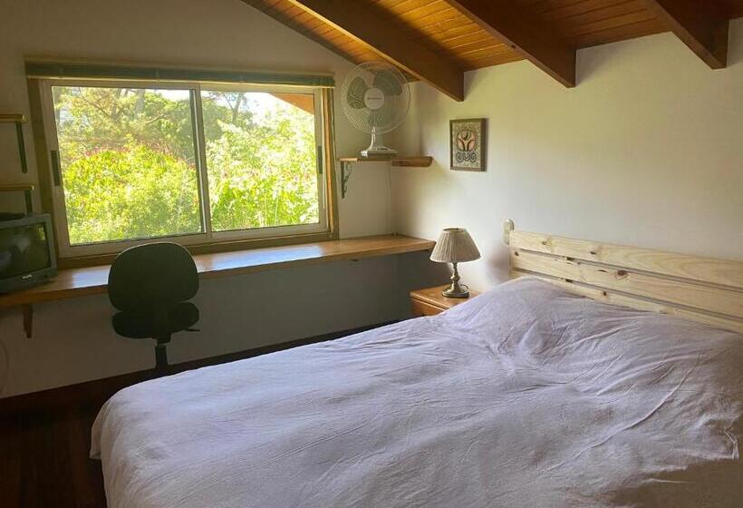 Tierra Magica B&b And Art Studio