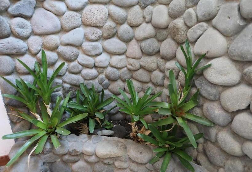 Tierra Magica B&b And Art Studio