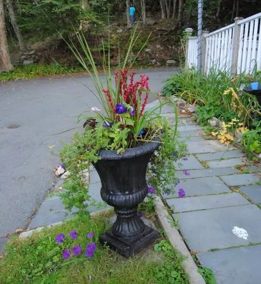 هتل Ascendence Halifax Bed & Breakfast