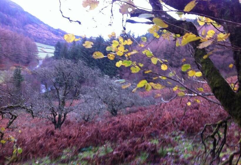 Hotelli Bryncelyn Guesthouse