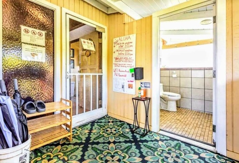 فندق Hamakua Guesthouse