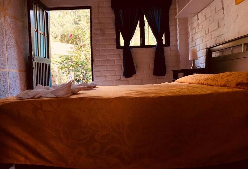 호텔 Posada La Loca Compañía