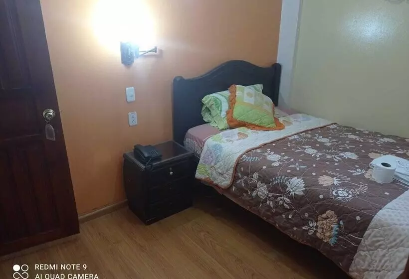 هتل Ritzor