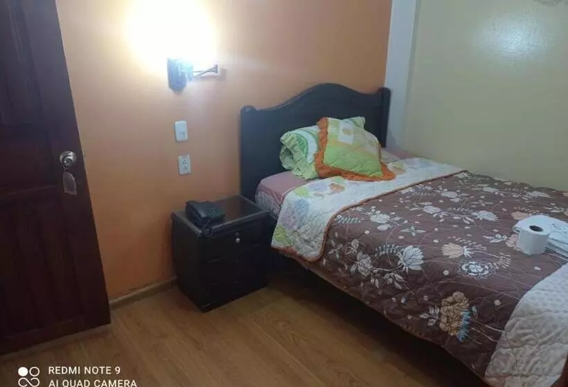 هتل Ritzor