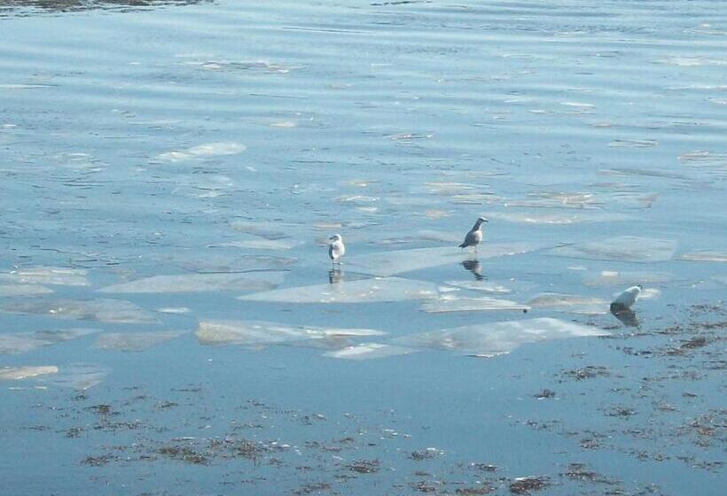 فندق Sal S Bed And Breakfast By The Sea