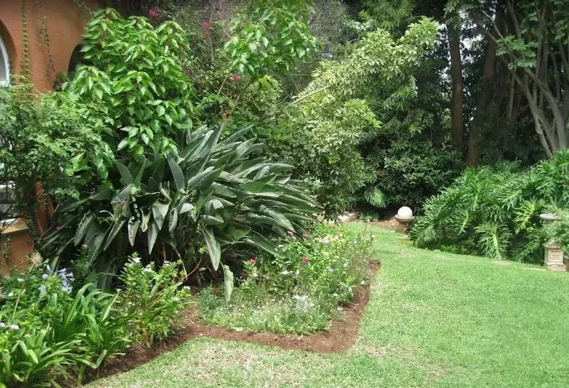ホテル Treetops Guesthouse