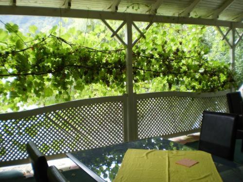 旅馆 Pension Casa Alba